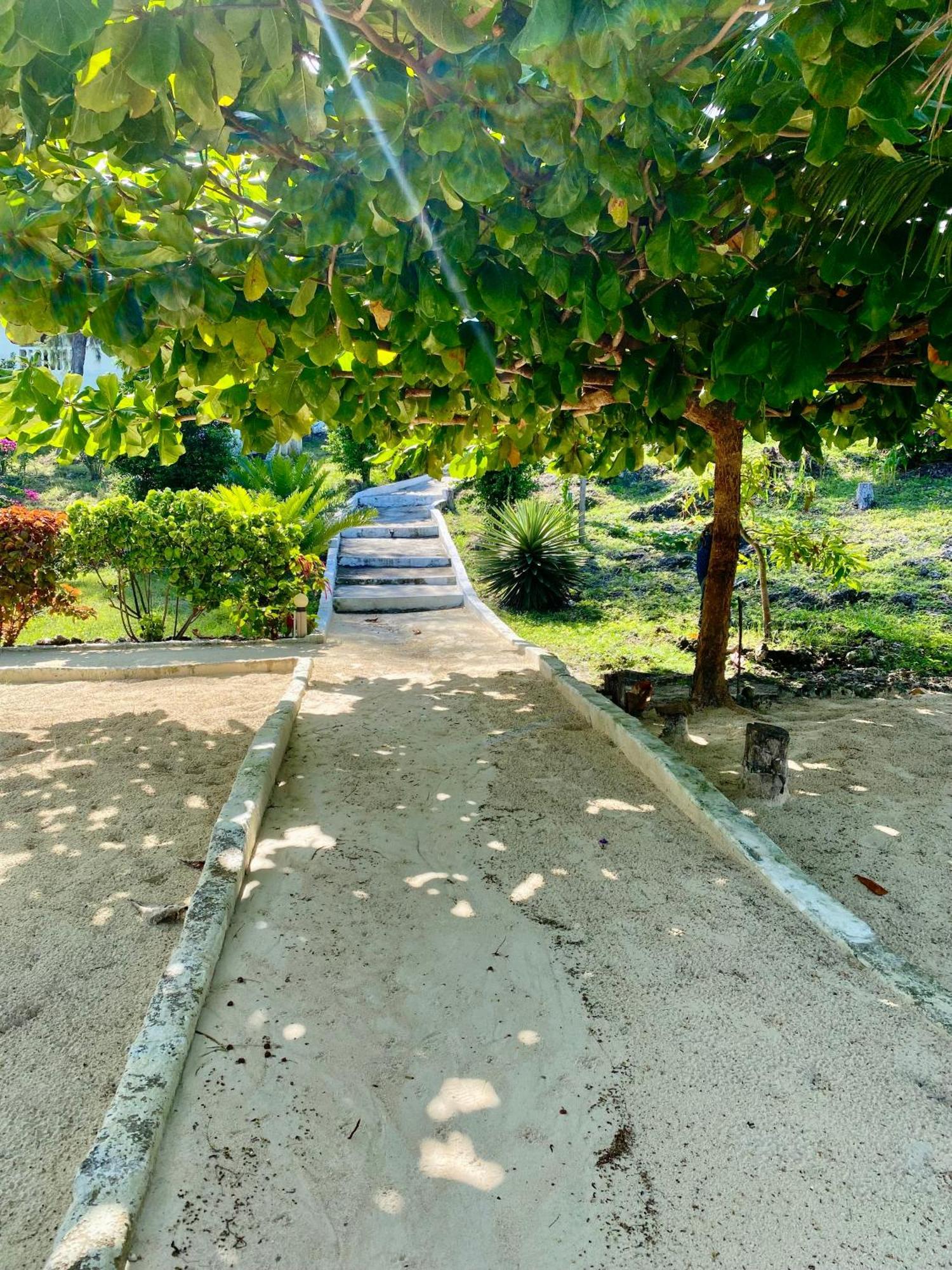 White Star Ocean View Hotel Paje Dış mekan fotoğraf