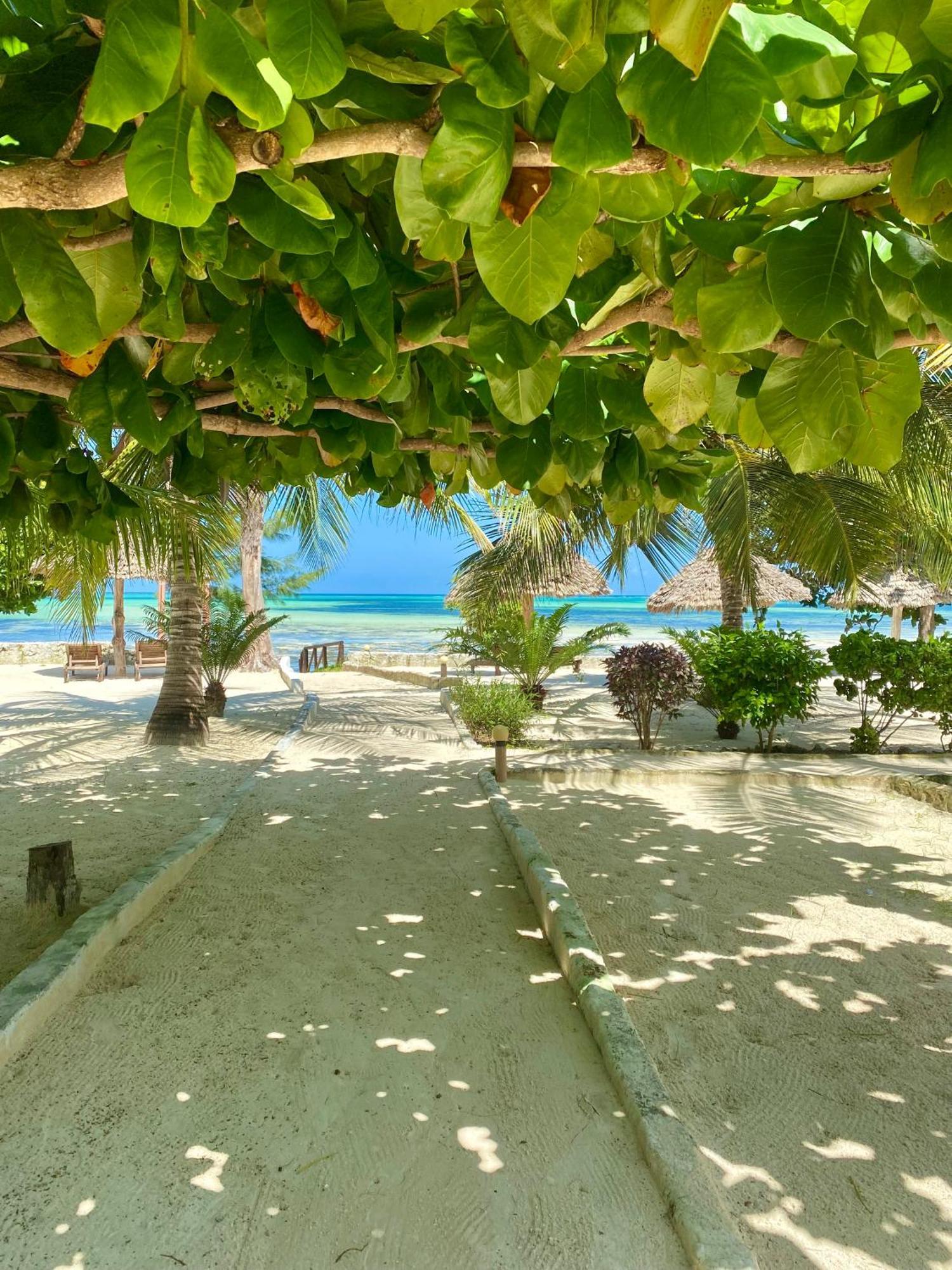 White Star Ocean View Hotel Paje Dış mekan fotoğraf